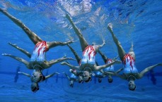 华体会app_葡萄牙U17创造历史！1-0力克奥地利首夺世界杯冠军，阿尼西奥致胜球铸就传奇