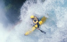 华体会平台：海港队换头引路换血成功，新赛季战略升级瞄准换核