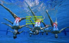 华体会入口|橙衣军团革新启航，范戴克领衔荷兰队大名单，赖因德斯、德佩共筑新中轴