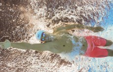 华体会平台-久尔杰维奇揭示职业教练困境，选择权缺失，静候时机成常态