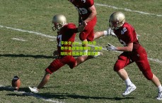 华体会app_沙特队世界杯备战策略曝光，美洲球队成热身赛关键选择