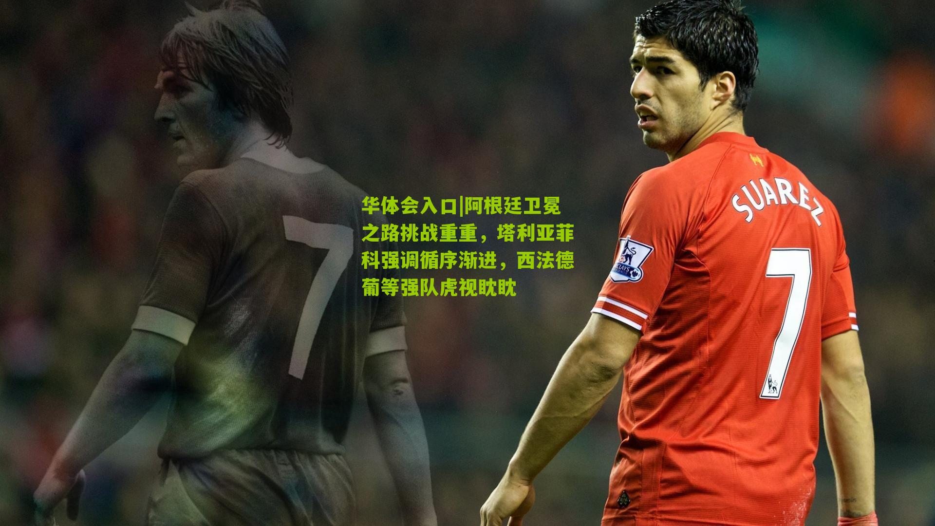 阿根廷卫冕之路挑战重重,塔利亚菲科强调循序渐进,西法德葡等强队虎视眈眈